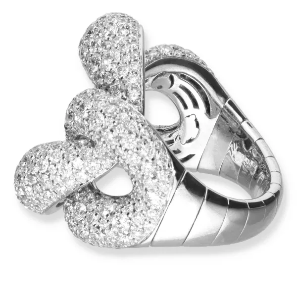 Gourmette supple ring-2